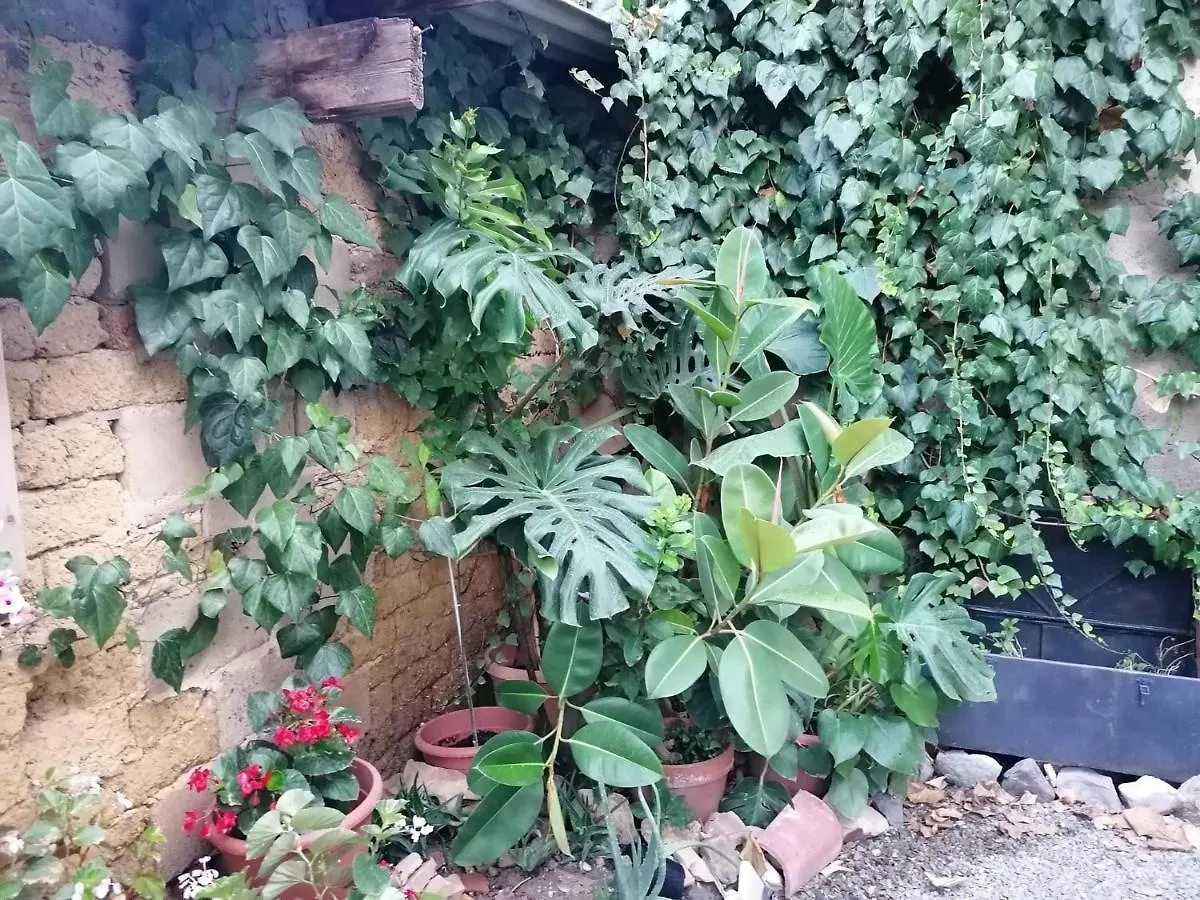 Dimora Bed And Breakfast San Gavino Monreale